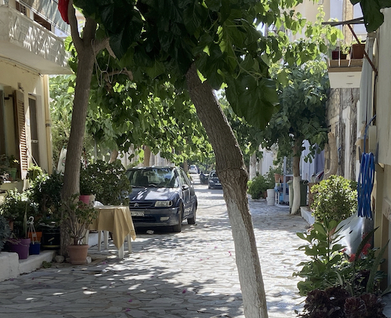 A quiet street with trees providing shade and pleasant temperatures